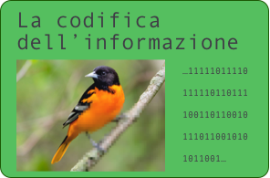 La codifica dell'informazione. Uccellino pixellato.